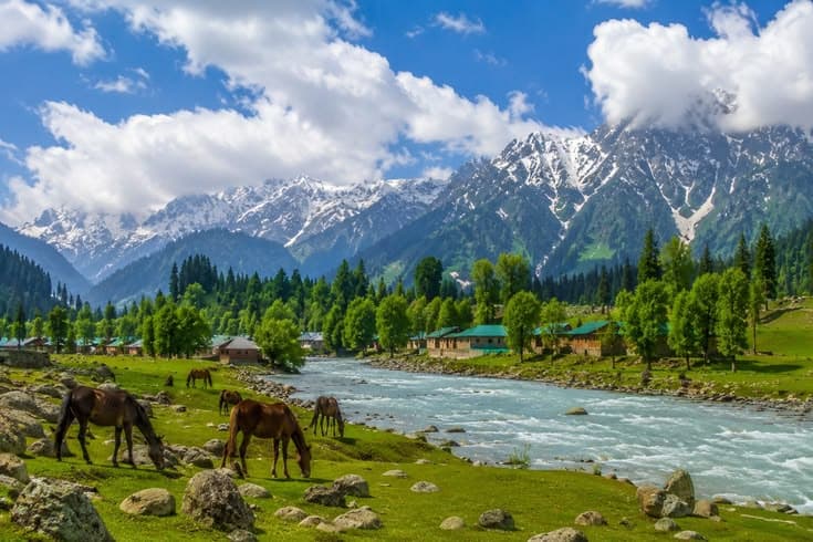 Kashmir Holiday Tour Packages