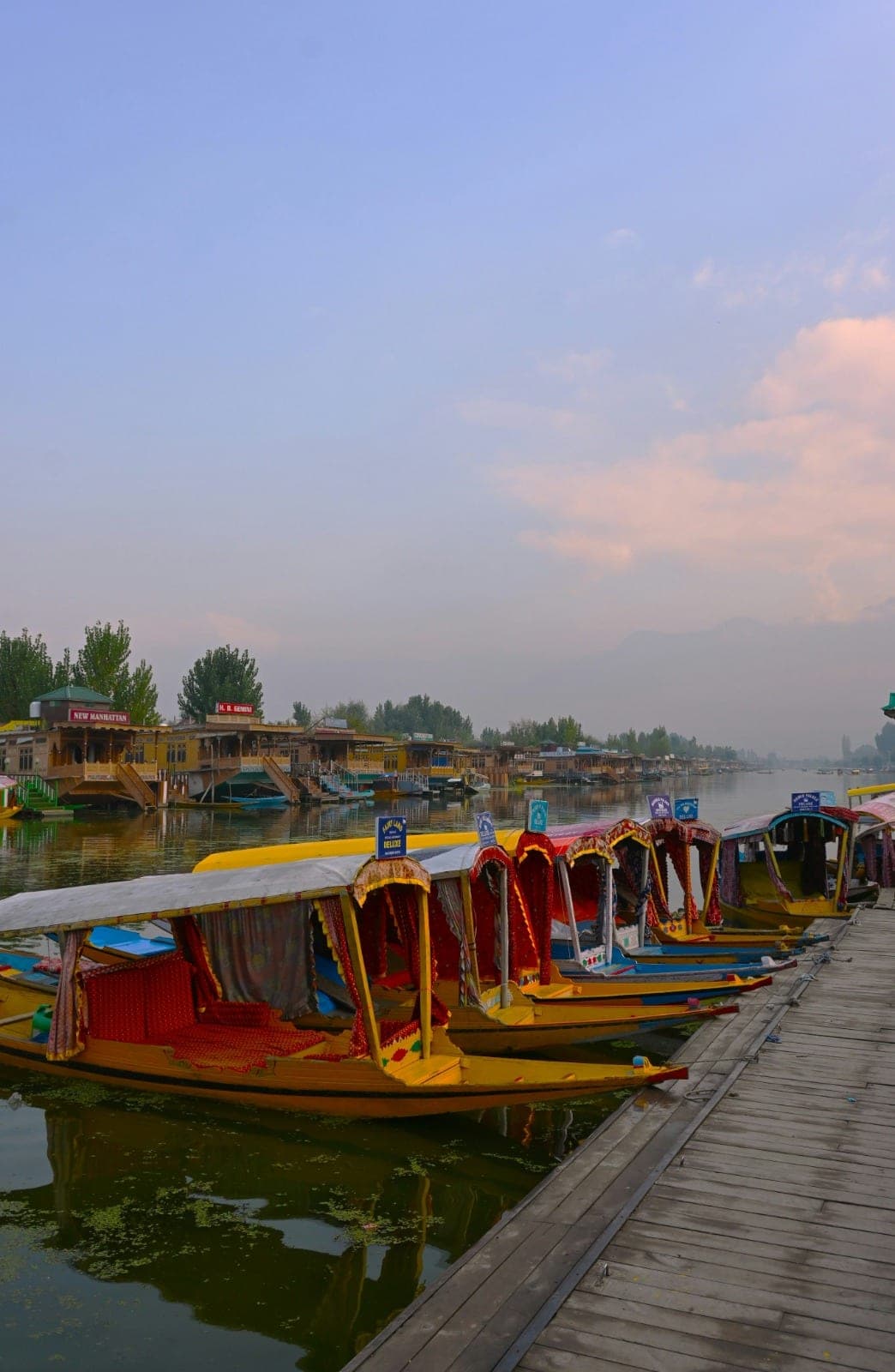 Golden Shikara at Himalayan Sunrise