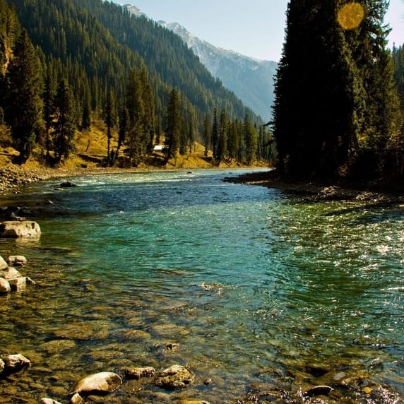 Family Kashmir Tour